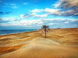 تور چابهار از یزد